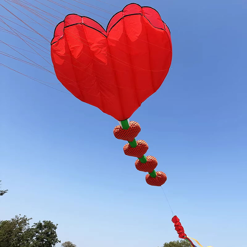 2026 Nuevo Cometa Inflable Sua - Kids Outdoor Area reseña y precio
