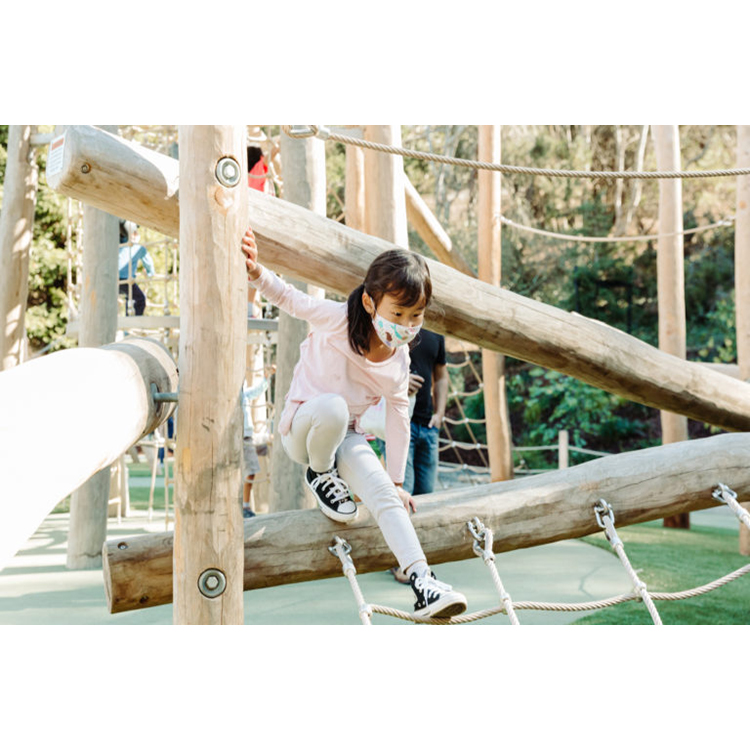 Parque infantil para niños, ju - Kids Outdoor Climbing Frame reseña y precio